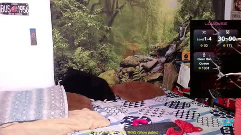 Valerie online show from February 17, 3:06 am