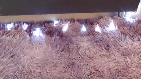 valery carter01 online show from February 14, 3:08 am