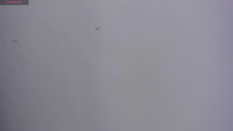 VALKA ROSS online show from October 13, 11:18 pm