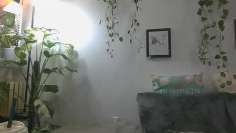 vanessa__foxx online show from December 16, 3:30 am