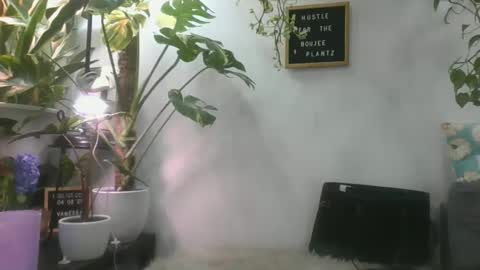 vanessa__foxx online show from March 1, 5:16 pm