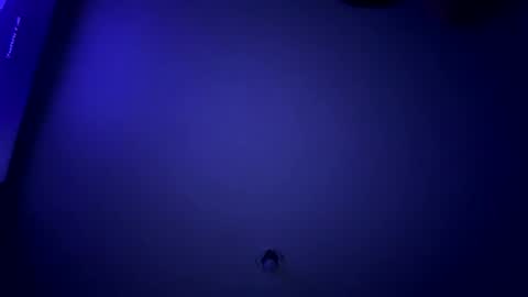 venus_art11 online show from February 9, 3:20 am