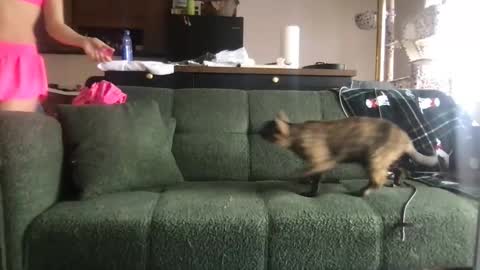 venustheflytrap online show from February 28, 5:56 pm