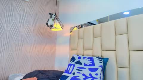 Vero online show from November 15, 12:06 pm