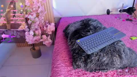 veronica_hill_ online show from June 3, 3:18 am