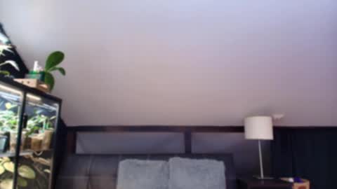 vevelicious online show from May 2, 6:22 pm