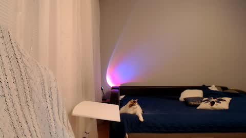 Amelia online show from December 2, 6:10 pm