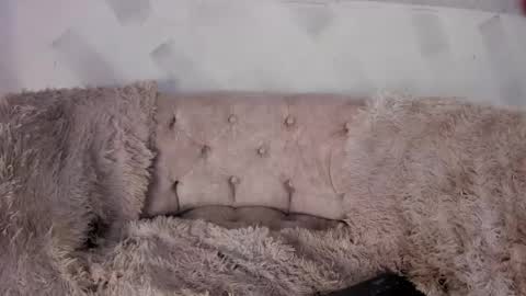 violetwinters_ online show from April 15, 8:37 am