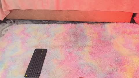 Vivi online show from December 15, 4:07 am