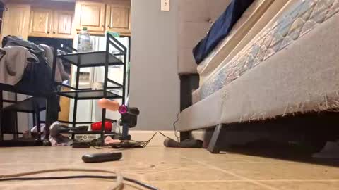 Vix online show from February 14, 7:28 am