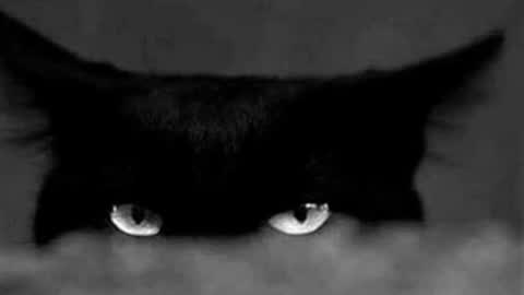 Gabriela online show from April 19, 10:01 pm