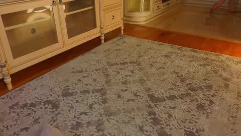 hello guys im Lilian online show from December 2, 3:08 am