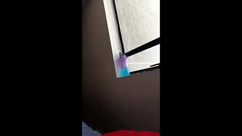 wanderlust_686 online show from April 12, 9:28 pm