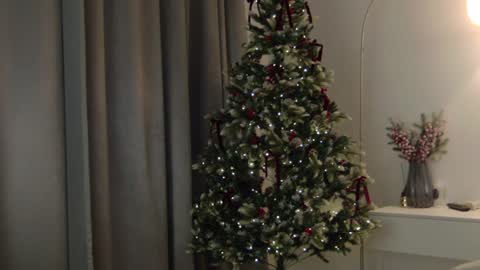 CAREN online show from January 8, 12:47 pm