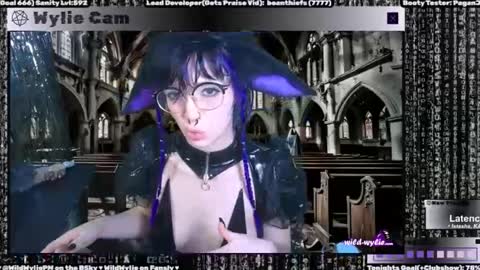 Snapshot of wildwylie chatting on January 31, 3:20 am Wylie Wanderlust online show from January 31, 3:20 am