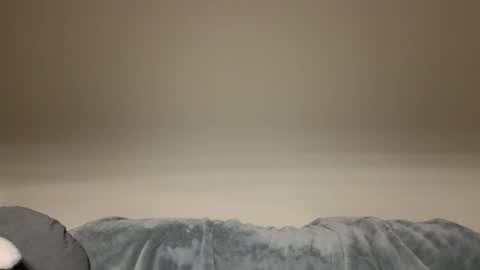 Stia online show from March 12, 3:15 pm