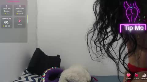 Terra online show from February 13, 5:09 am