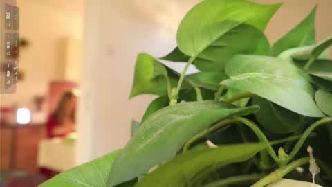 Xxxoka online show from March 6, 2:08 pm