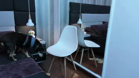 yiyisandoval online show from January 9, 11:20 pm