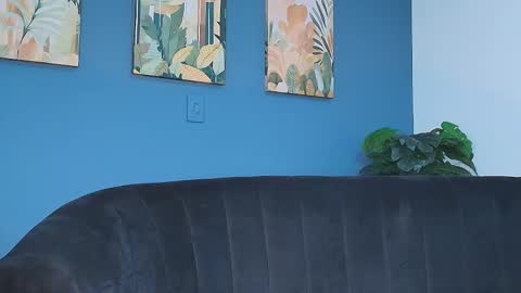 zamira_taylor online show from December 5, 4:45 am