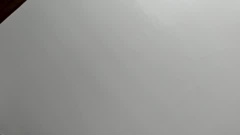 zia online show from December 16, 1:17 pm