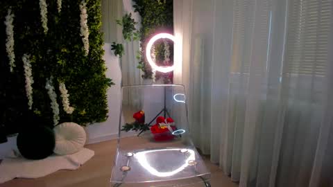 Galli online show from February 26, 7:34 am