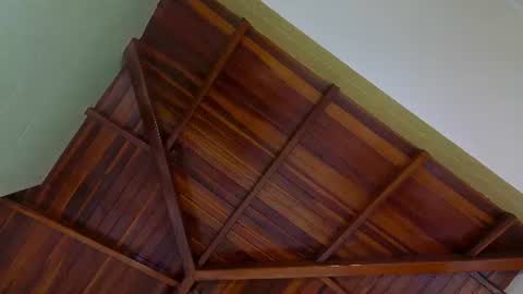 zully_fox online show from June 13, 8:28 pm