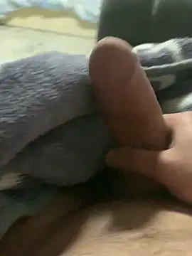 luay187 online show from February 18, 3:44 pm