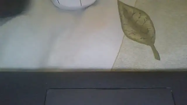 ShawnaAdams online show from October 11, 3:48 pm