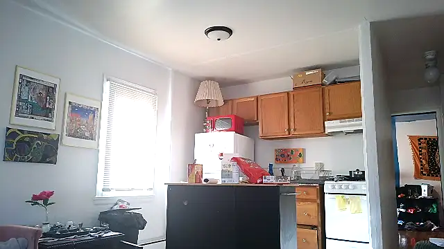 SiminFox online show from February 12, 7:15 pm