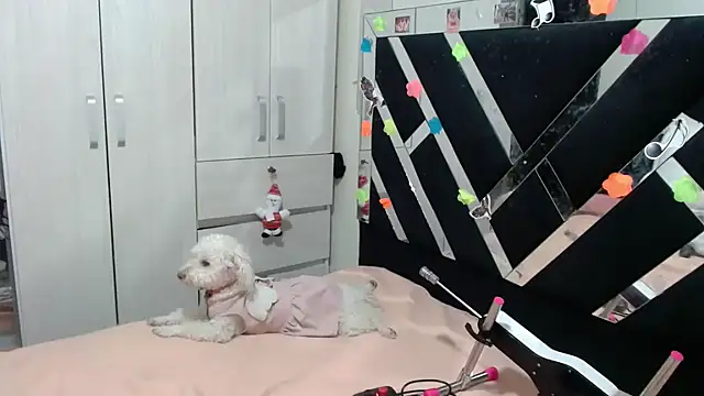 katery wok11 online show from April 5, 4:11 am