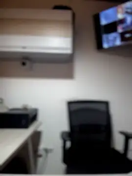 Sofia Collins- online show from April 14, 12:11 am