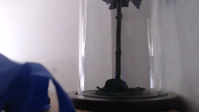 Janna099 online show from September 21, 5:55 pm