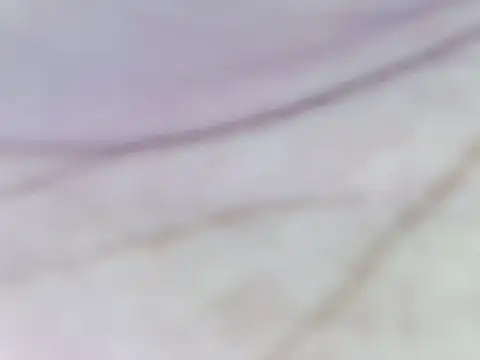 tanvi-00 online show from September 9, 4:18 pm