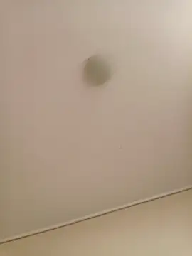 ALISA DI online show from April 17, 8:11 pm