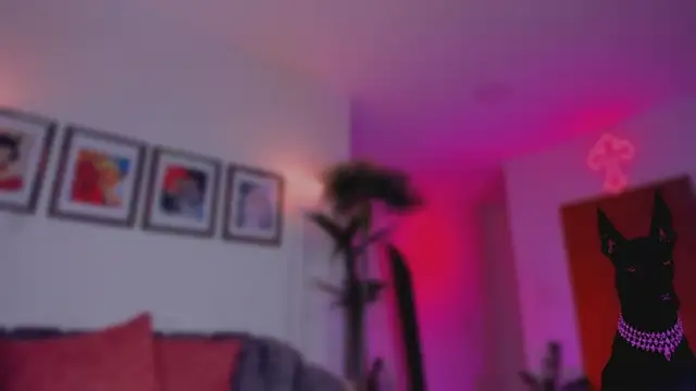 Taylor  foxxx online show from November 14, 4:23 am