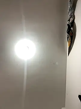 Alicia ALICIA online show from December 18, 11:53 pm