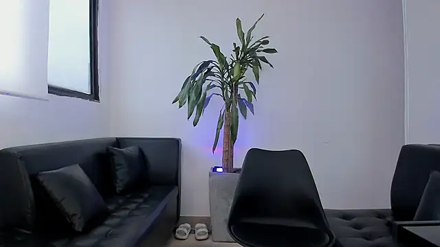 alice greco online show from February 3, 12:54 pm