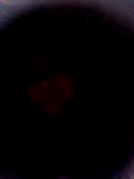  sonal sharma online show from December 5, 6:20 pm