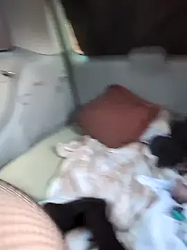 hotcd89 online show from April 19, 12:27 pm