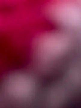 Zanoba-16 online show from November 8, 10:53 am