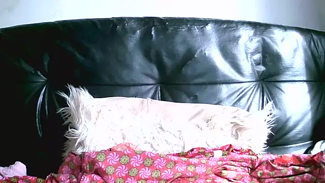 Bustypillows online show from March 3, 2:34 pm