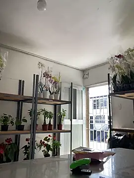 PUSHYLATE online show from January 7, 3:04 pm