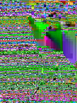 eveangelll online show from May 27, 8:33 am