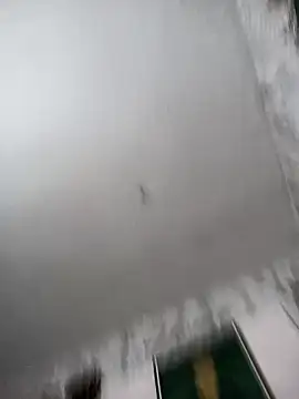 biancchi online show from February 20, 11:12 am