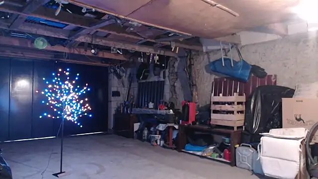  JustmeHere  online show from November 30, 1:15 pm