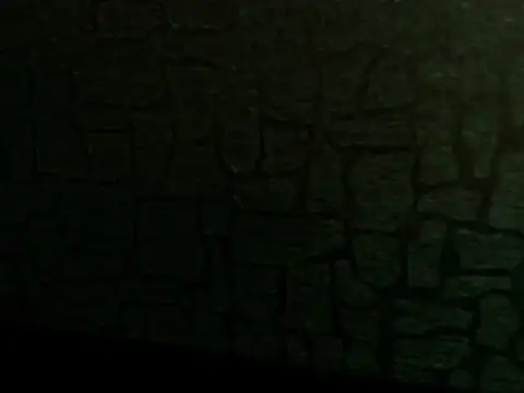 Snapshot of Lilyevansx chatting on October 12, 4:09 pm Lilyevansx online show from October 12, 4:09 pm
