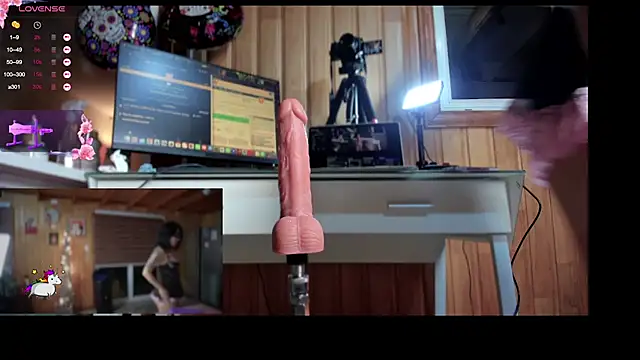 Reinacatchile online show from November 17, 12:44 am