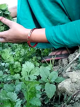 Miss Ayesha online show from March 31, 12:27 pm