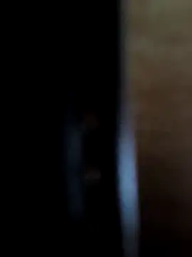 SpiceLea online show from November 29, 1:04 pm